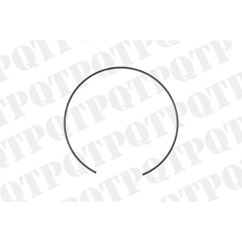 Snap Ring