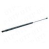 Gas Strut Door