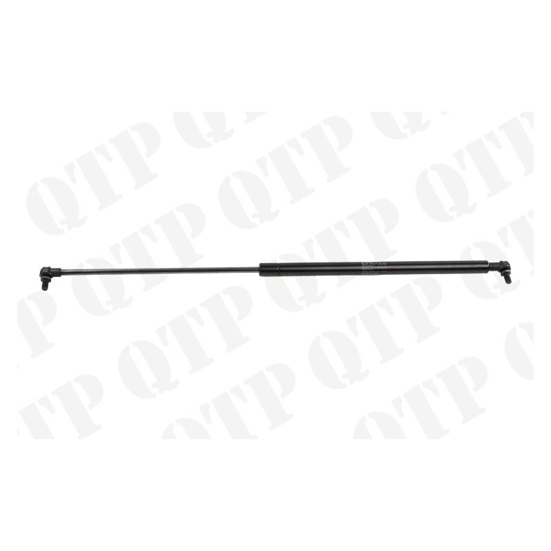 Gas Strut Door
