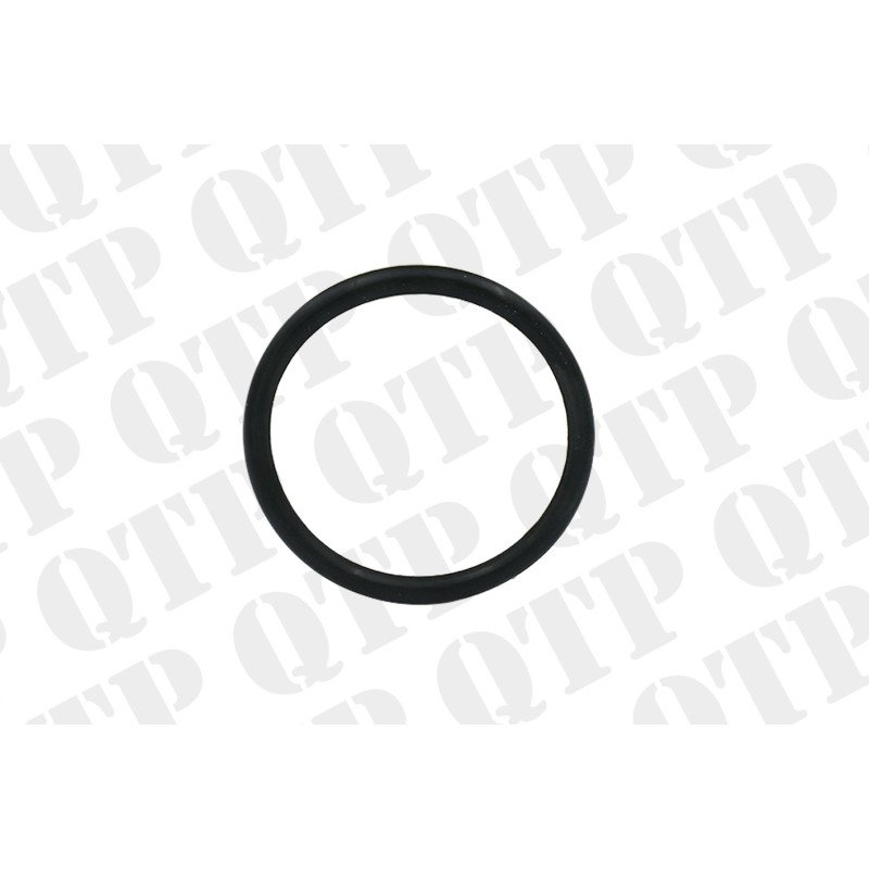 Fuel Pump O-Ring