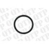 Fuel Pump O-Ring