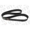 Fan Belt